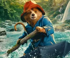 'Paddington: Uma Aventura na Floresta' estreia nos cinemas da Paraíba