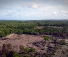 Paraíba tem aumento expressivo da temperatura e mais de 13 mil ha de área desmatada