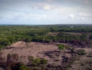 Paraíba tem aumento expressivo da temperatura e mais de 13 mil ha de área desmatada
