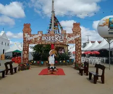 Festa de Bode Rei