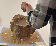 Exposição 'Quando A Linha Se Faz Caminho'  em João Pessoa
