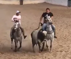 Vaquejada em Campina Grande