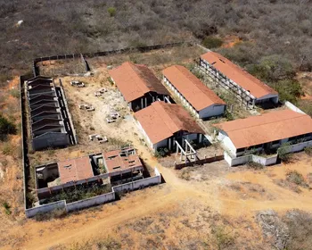 Obras Inacabadas: escola de quase R$ 3 milhões será demolida e creche abandonada vira ruína