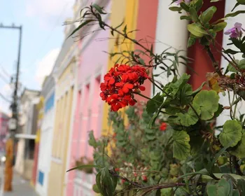 Programação da Rota Cultural Caminhos do Frio 2026 começa nesta quarta (1°) em Areia