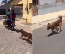 Cachorro arrastado por moto: Polícia Civil investiga caso de maus-tratos no Sertão