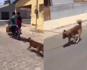Cachorro arrastado por moto: Polícia Civil investiga caso de maus-tratos no Sertão