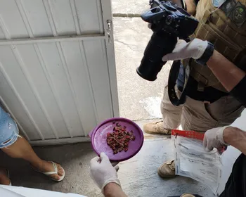 Homem é preso suspeito de envenenar gatos em Campina Grande