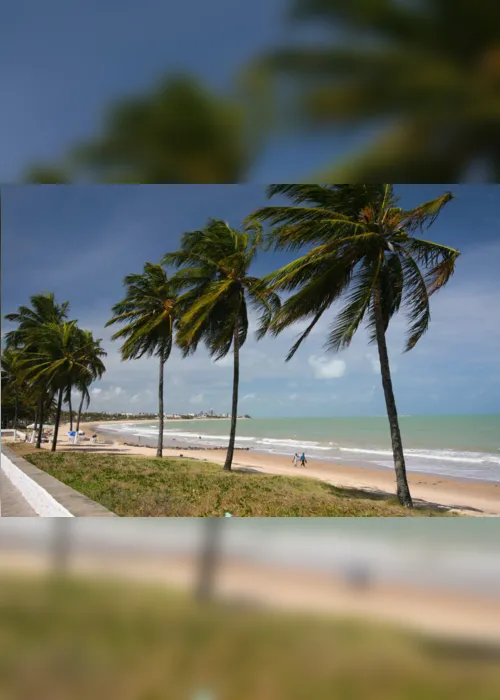 
                                        
                                            Praias impróprias para banho na Paraíba: veja trechos para evitar
                                        
                                        