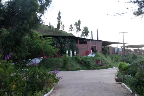 
				
					Projeto ‘Encanto’ em Areia
				
				