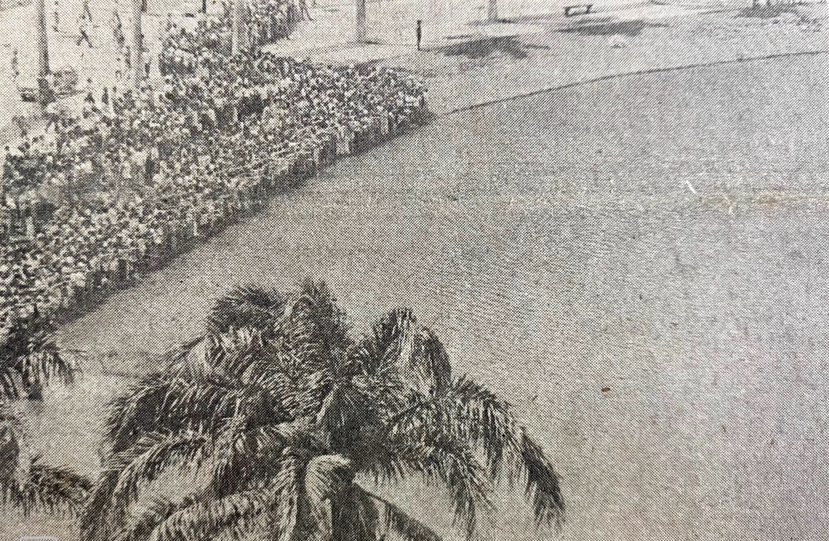 Lagoa do Parque Solon de Lucena reuniu multidão para assistir resgates de vítima da tragédia