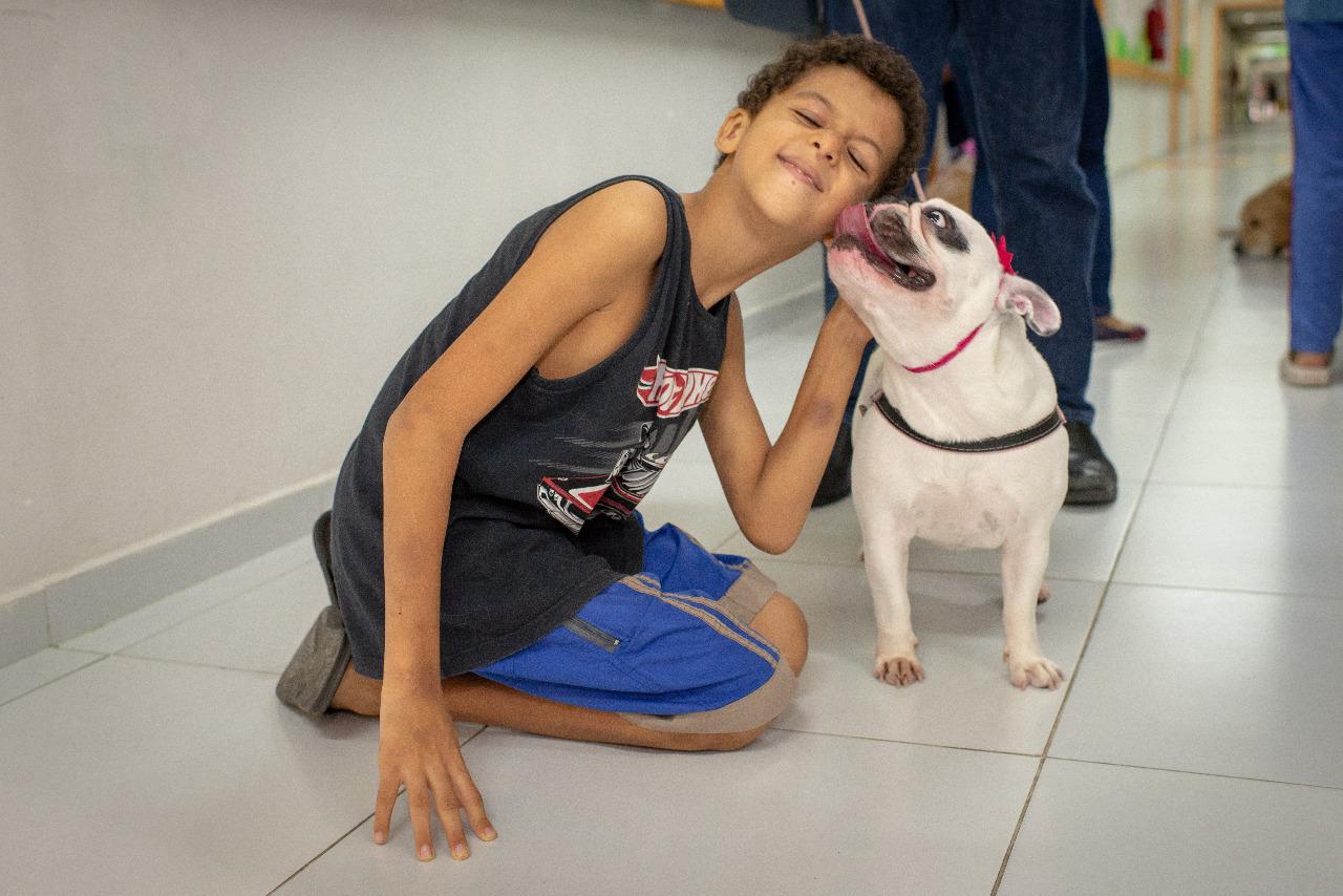 Encontros do projeto de extensão Cães Solidários em João Pessoa // Foto: Reprodução Cães Solidários.