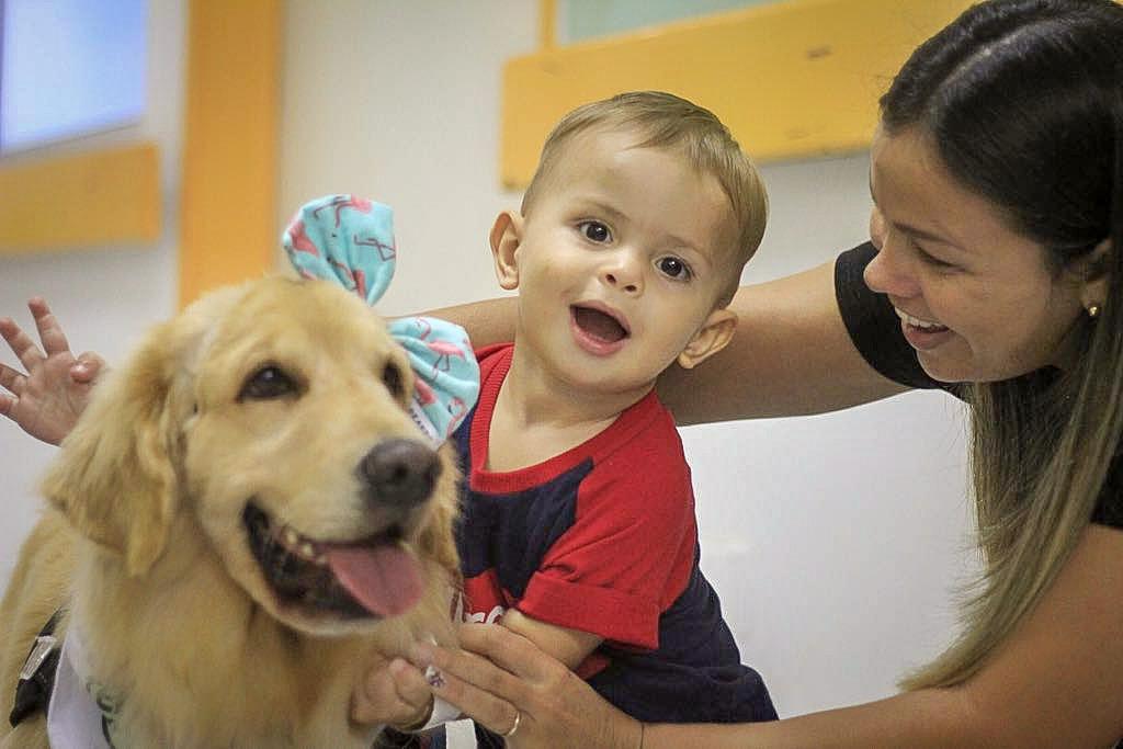 Projeto de extensão "Cães Solidários" // Foto: Reprodução Cães Solidários.
