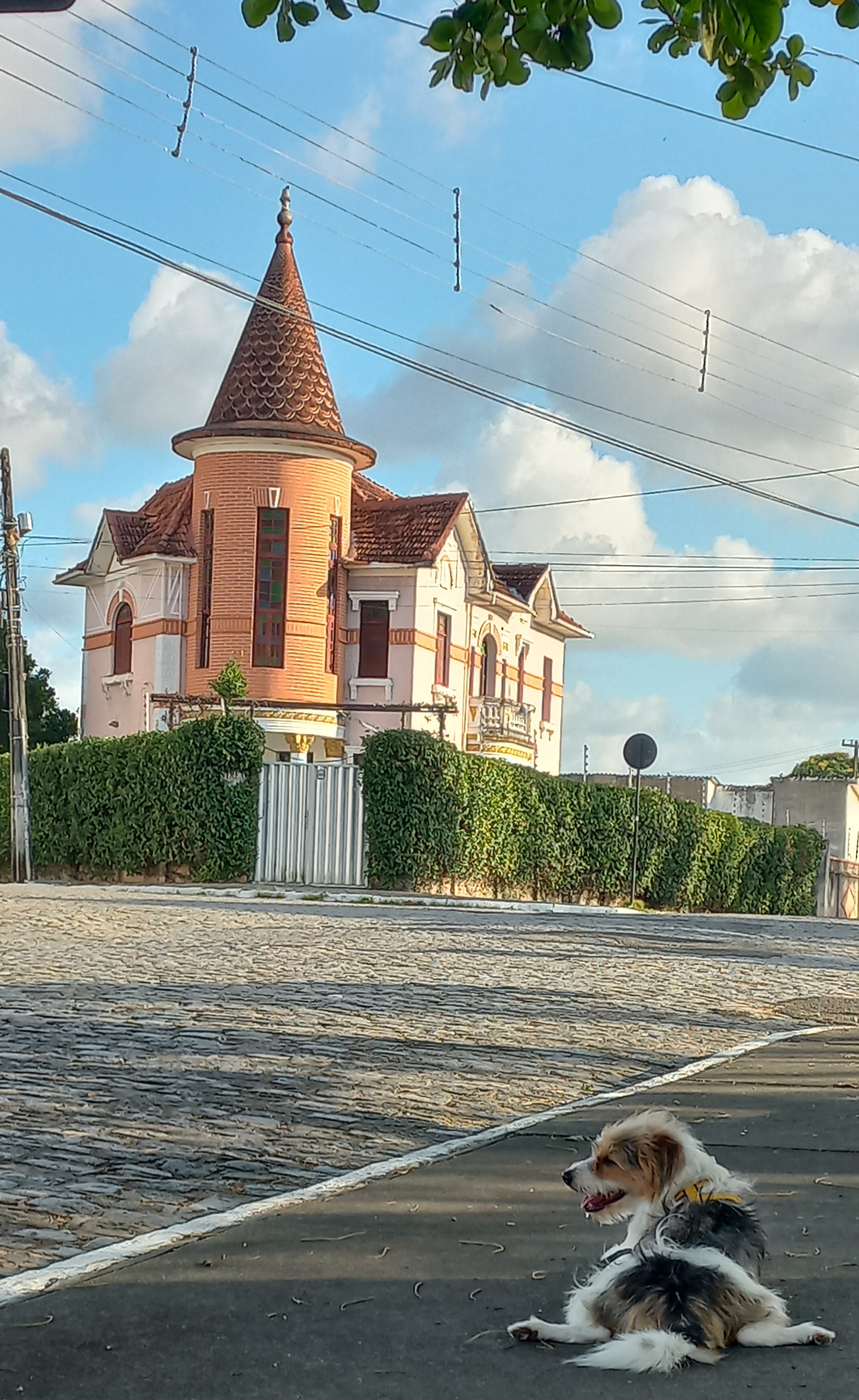 Essa fotografia me remete as tarde que levo meu pet para passear, ele ama esse lugar que é lindo, arborizado e ao redor da praça existem camarões antigos, dentre eles o Castelinho.