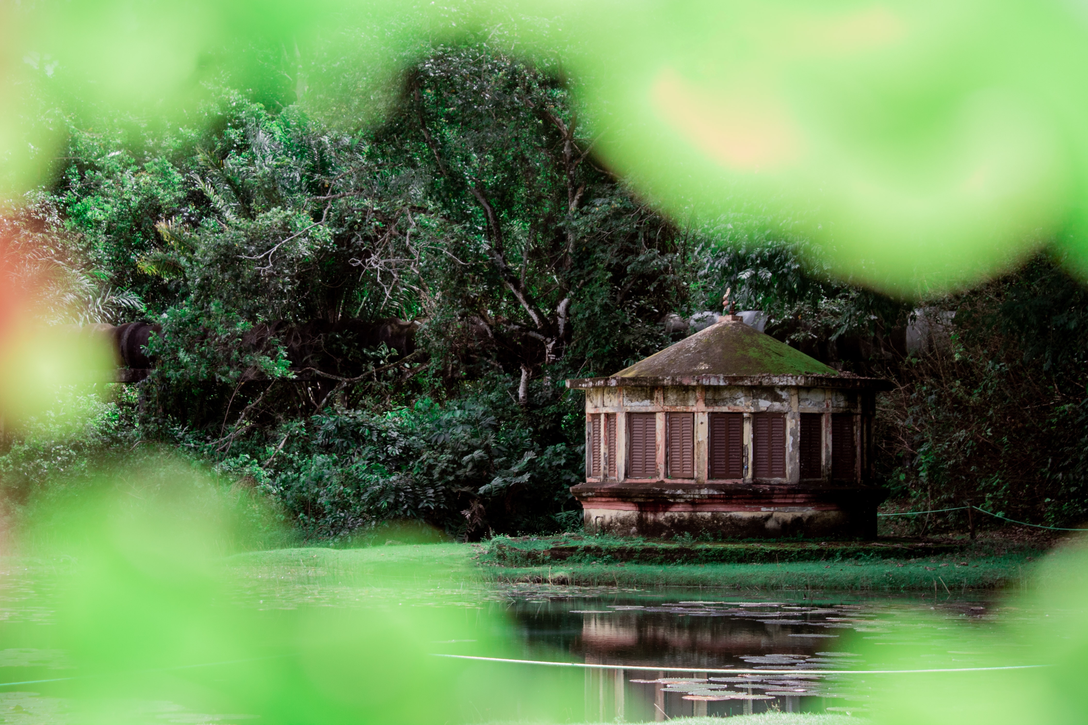 A Mata do Buraquinho é o coração verde de João Pessoa. Um lugar para renovar as energias e respirar um ar mais puro. Assim é o Jardim Botânico: um refúgio onde a natureza nos acolhe e nos convida a desacelerar, contemplar e reconectar-se com o que realmente importa.
