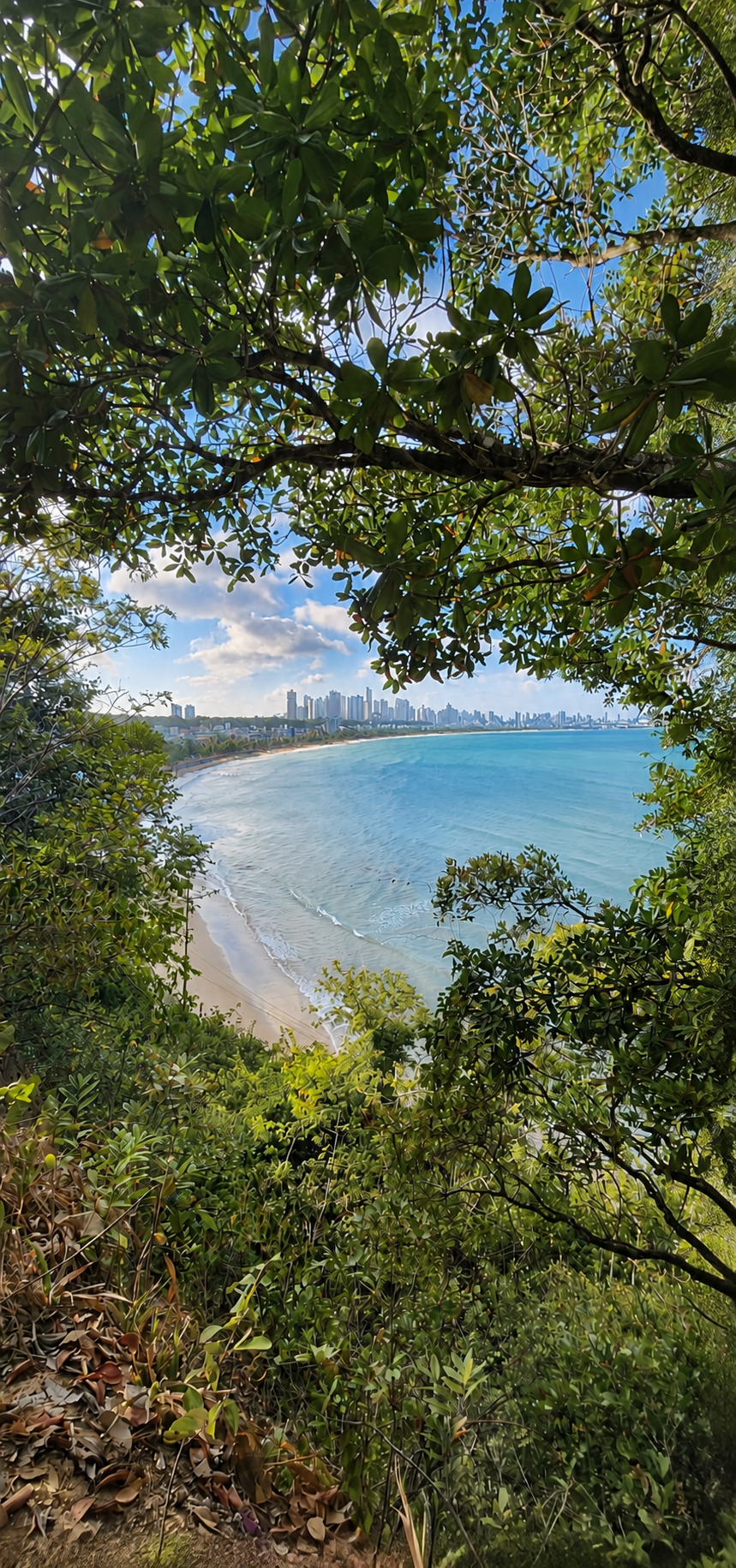 Sou ciclista e sempre ando pelas redondezas, e um belo dia me deparei com uma entrada na mata e vi que tinha um acesso à um mirante. E é uma paisagem belíssima que me marcou bastante.