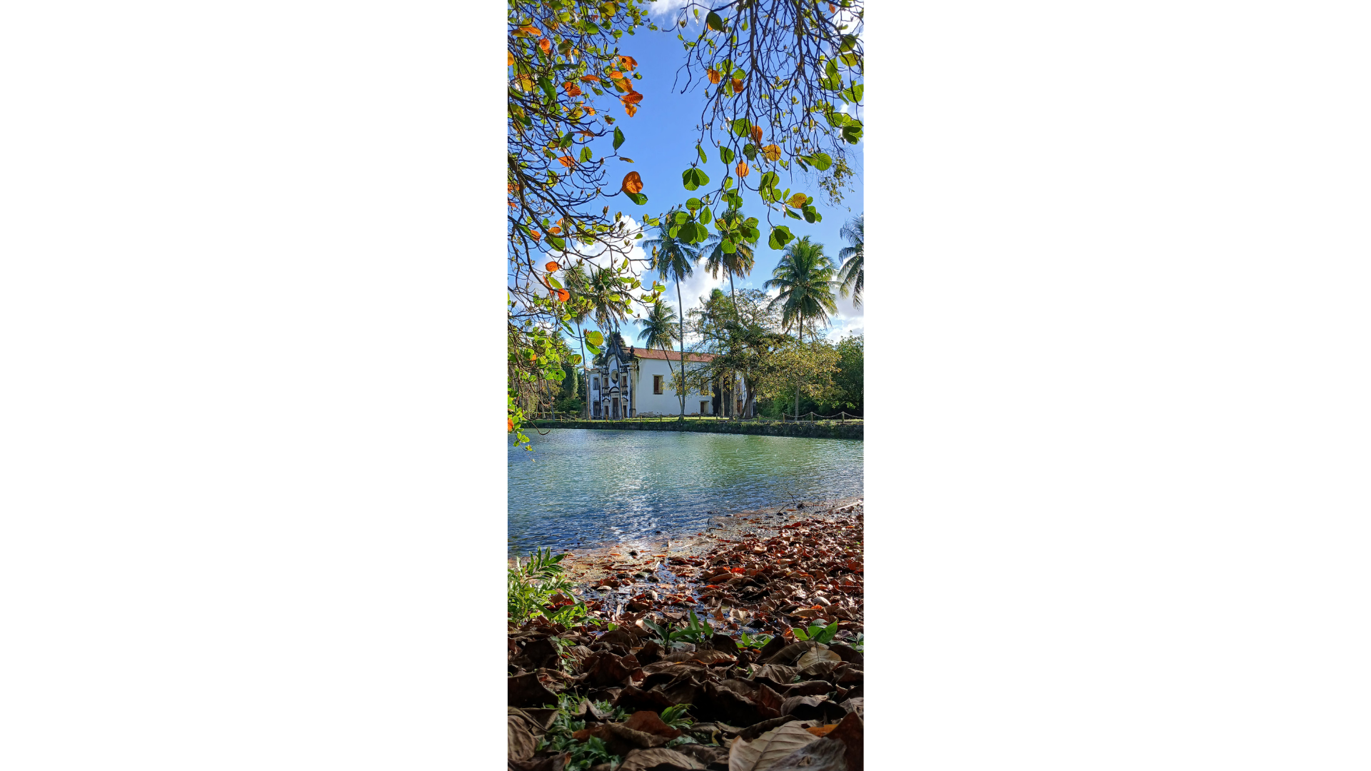 Paisagem do açude da Graça e ao fundo a capela secular de Nossa Senhora das Graças, no bairro de Cruz das Armas. Foto tirada em agosto, durante visita técnica para a conclusão do meu TCC "Passado e Memória: análise sobre o potencial turístico da Fazenda da Graça em João Pessoa-PB" para o curso de Turismo da UFPB. Passei anos pra conseguir a autorização de entrada no local. Mesmo morando a menos de 400 metros de lá e tendo a justificativa da orientadora, só consegui depois de quase 2 anos. Já estava desistindo de tudo, quando consegui, pra quem acredita, de forma sobrenatural. Esse espaço é um dos mais importantes na história da cidade. Foi nesse local que se estabeleceu Piragibe, parte importante no processo de colonização portuguesa. Infelizmente, pouquíssimas pessoas conhecem esse local.