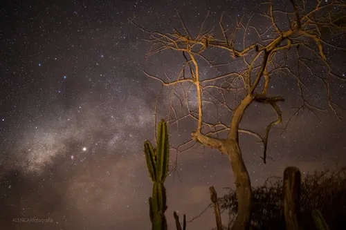 
				
					Astrofotografia: conheça segredos e dicas de como tirar fotos do céu noturno
				
				