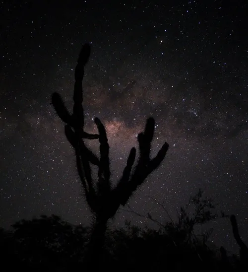 
				
					Astrofotografia: conheça segredos e dicas de como tirar fotos do céu noturno
				
				