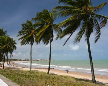 Três trechos de praia estão impróprios para banho na Paraíba; saiba quais