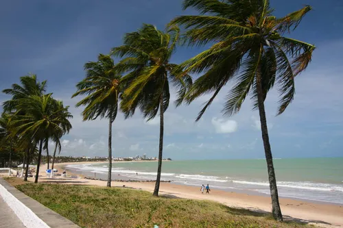 
					Três trechos de praia estão impróprios para banho na Paraíba; saiba quais
				
				