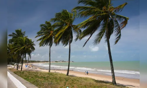 
				
					Litoral da Paraíba tem quatro trechos de praias impróprios para banho
				
				