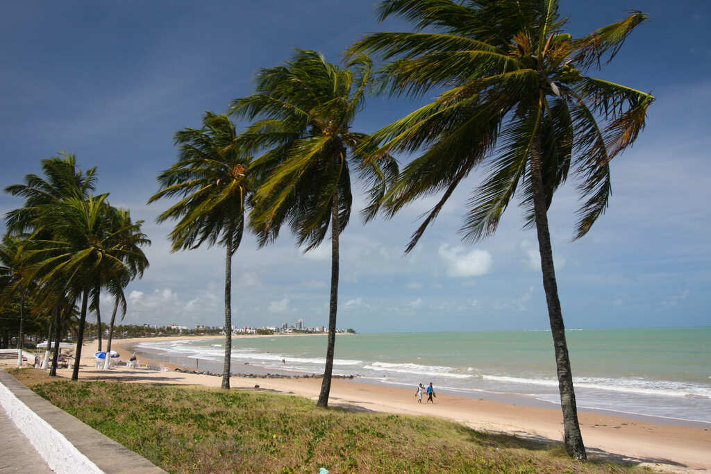 Entenda: Apenas um trecho de praia está impróprio para banho no litoral da Paraíba; saiba qual