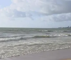 Carcaça de baleia morta é encontrada na praia de Intermares, em Cabedelo