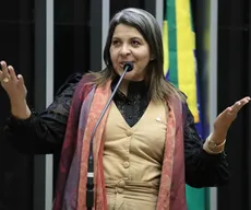 Eliza retorna à Câmara dos Deputados com licença de Mersinho