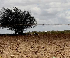 Seis cidades da Paraíba entram em estado de emergência por causa da seca