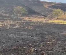 Incêndio que destruiu 15 hectares da Caatinga é investigado por suspeita de crime ambiental na PB