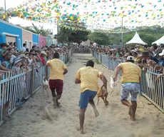 Justiça proíbe competições com bodes na Festa do Bode Rei e impõe multa de R$ 200 mil