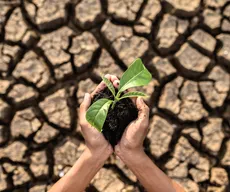 Mudanças climáticas e desastres naturais são temas do segundo videocast do Lá Vem o Enem 2024