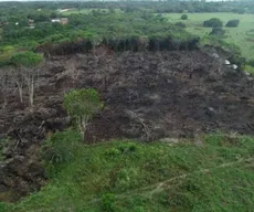 Sudema arrecada R$ 42 milhões, mas parte pode não ter ido para áreas de proteção ambiental