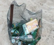 Voluntários encontram ninho de tartaruga marinha com lixo na Praia do Bessa