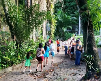 Férias escolares aumentam risco de acidentes domésticos com crianças; veja como prevenir