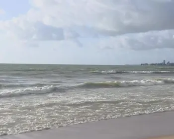 Carcaça de baleia morta é encontrada na praia de Intermares, em Cabedelo