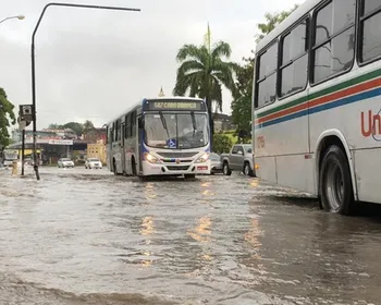 Descubra quais são as 10 cidades da Paraíba onde mais choveu em 2024