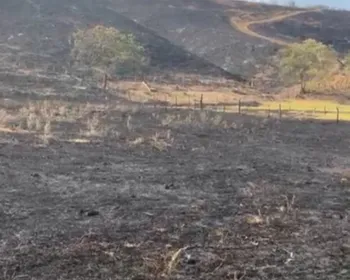 Incêndio que destruiu 15 hectares da Caatinga é investigado por suspeita de crime ambiental na PB