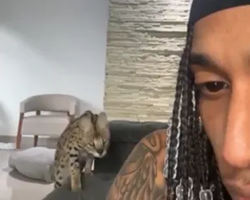 Rapper posta vídeo sendo atacado por seu gato; veterinária explica o comportamento