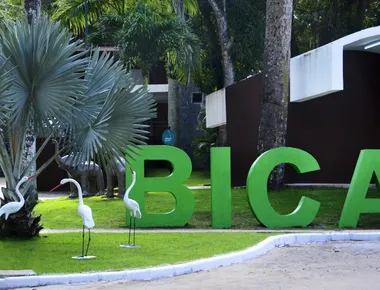 Duas aves são roubadas da Bica, em João Pessoa