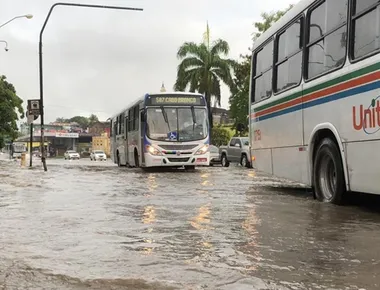 Descubra quais são as 10 cidades da Paraíba onde mais choveu em 2024