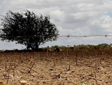 Situação de emergência em seis cidades da Paraíba é reconhecida pelo Governo Federal por estiagem