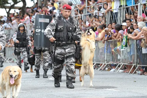 
				
					7 de setembro é feriado?
				
				