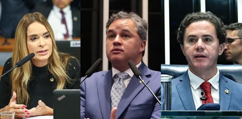 
				
					Armas fora do "imposto do pecado": veja como cada senador da Paraíba votou
				
				