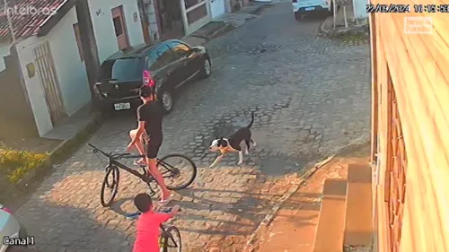 
				
					Ataque de cachorro deixa dois irmão feridos em Areia
				
				