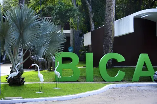 
				
					Duas aves são roubadas da Bica, em João Pessoa
				
				