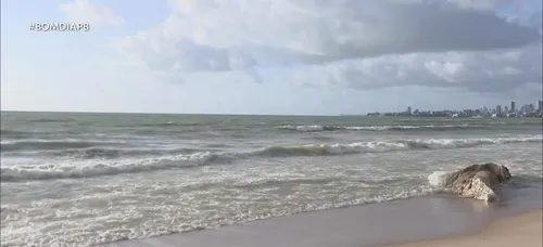 
				
					Carcaça de baleia morta é encontrada na praia de Intermares, em Cabedelo
				
				