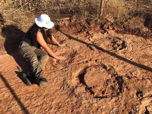 
				
					Cientistas descobrem novas pegadas de dinossauros no Sertão paraibano
				
				