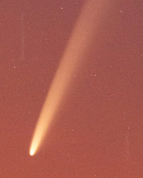 
				
					'Cometa do Século': veja imagens e saiba como observar fenômeno
				
				