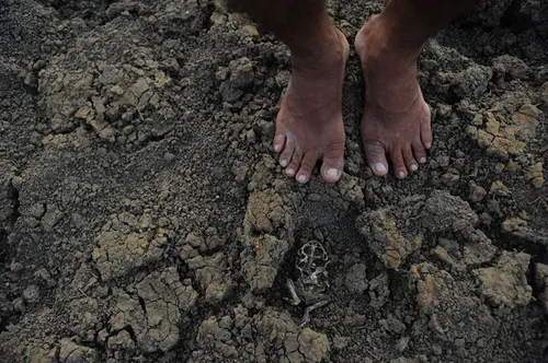 
				
					Como construir repertório para redação do Enem no eixo ambiental
				
				